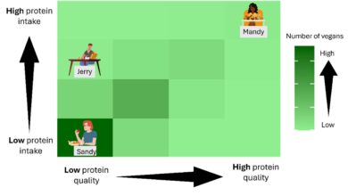 Even vegans who get enough total protein may fall short for some essential amino acids, findings suggest