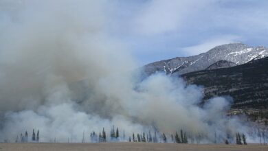 Exposure to wildfire smoke linked to worsening mental health conditions