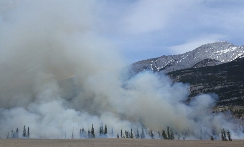 Exposure to wildfire smoke linked to worsening mental health conditions