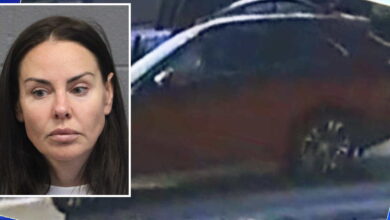 Fatal hit-and-run driver stopped, then drove over fallen pedestrian as she fled the scene: prosecutors