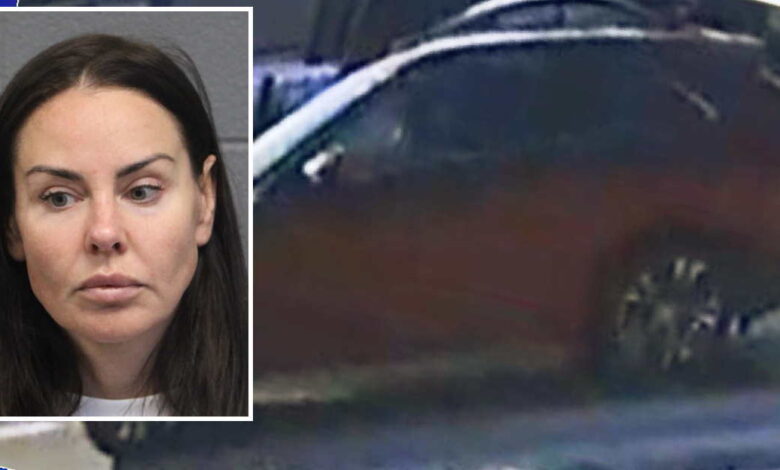 Fatal hit-and-run driver stopped, then drove over fallen pedestrian as she fled the scene: prosecutors Fatal hit-and-run driver stopped, then drove over fallen pedestrian as she fled the scene: prosecutors