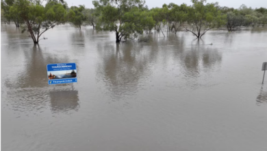 Flooding twice the size of Victoria in outback Qld