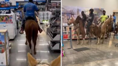 Four ‘cowboys’ arrested for riding horses through Walmart