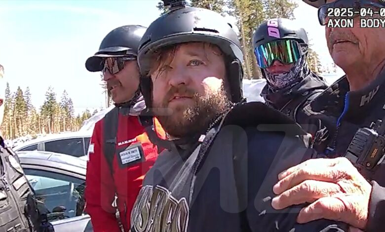 Haley Joel Osment Police Body Cam Shows Him Use Slur, Alleged Cocaine