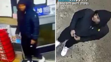 Handsy predator goes on sick sexual assault spree in NYC: NYPD