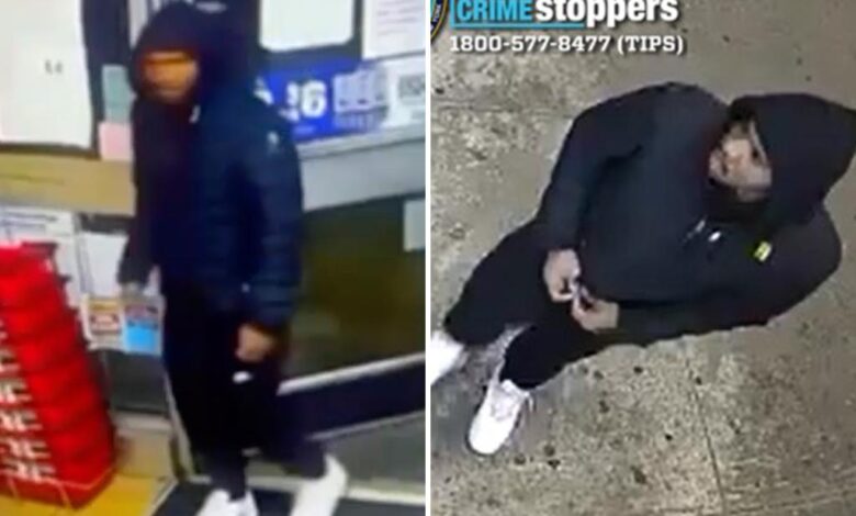 Handsy predator goes on sick sexual assault spree in NYC: NYPD