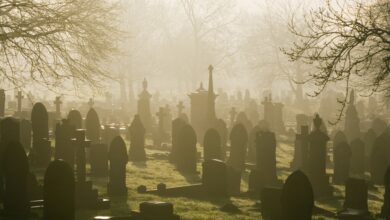 Here’s why ‘dead’ investors outperform the living
