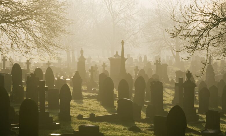 Here’s why ‘dead’ investors outperform the living