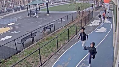 How did NY leaders let gangbangers’ Bronx violence go on for so long?