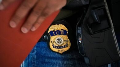ICE Deports Immigrant Mother Of An Infant And 3 Children Who Are U.S. Citizens, Lawyers Say