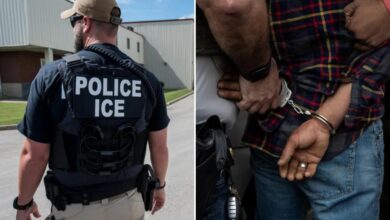 Illegal immigrant breaks ICE officer’s nose during New Jersey deportation arrest – faces 20 years behind bars 