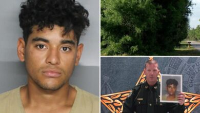Illegal migrant accused of raping 13-year-old boy in twisted game of hide-and-seek
