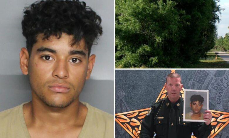 Illegal migrant accused of raping 13-year-old boy in twisted game of hide-and-seek Illegal migrant accused of raping 13-year-old boy in twisted game of hide-and-seek