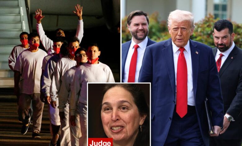 Judge blocks Trump from revoking legal status for 530,000+ migrants who flew into US via Biden program
