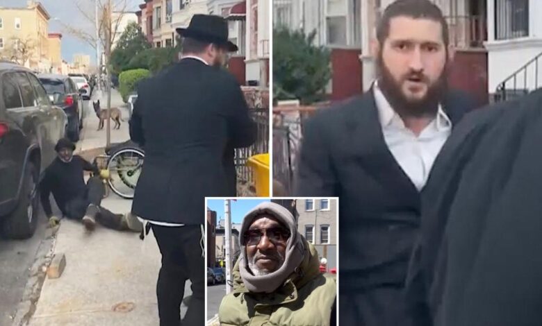 Man pushed from wheelchair in Brooklyn spat over large dogs Man pushed from wheelchair in Brooklyn spat over large dogs