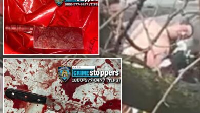 Maniac charged with slashing 4 girls with meat cleaver in NYC