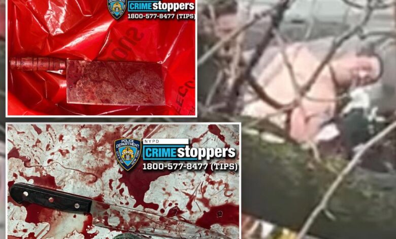Maniac charged with slashing 4 girls with meat cleaver in NYC