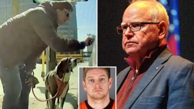 Minnesota state employee allegedly caused K in damage vandalizing Teslas