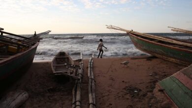 Modeling shows clean water and sanitation reduce cholera transmission where disease is entrenched