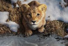 Mufasa: The Lion King Streaming, VOD, DVD Release Dates