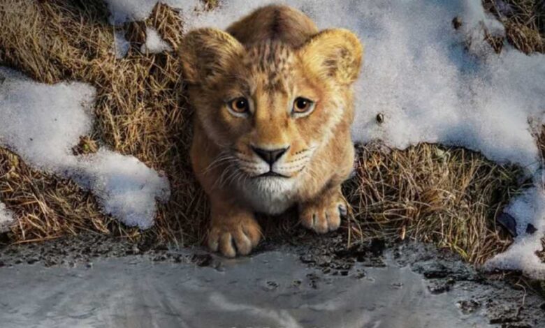 Mufasa: The Lion King Streaming, VOD, DVD Release Dates Mufasa: The Lion King Streaming, VOD, DVD Release Dates