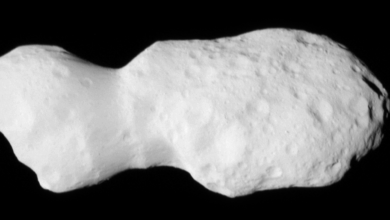 NASA snaps detailed photos of ‘strikingly complicated’ asteroid