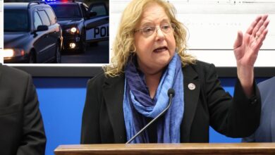NY bill would ban cops from routine traffic stops like the one that nabbed a serial killer: ‘Most dangerous’ ever
