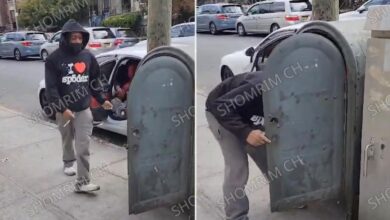 NYC mail thief, 20, busted for raiding USPS box in brazen caught-on-video heist: officials
