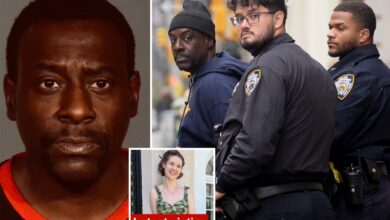 NYC mom of teen attacked by deranged vagrant outraged he was freed as latest victim fights for her life following heinous slashing