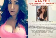 NYPD puts out steamy wanted poster for female NYC robbery suspect