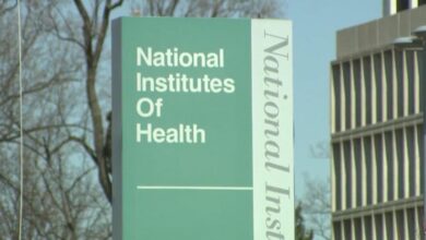 RFK Jr. aides accused of censoring NIH’s top ultra-processed food scientist