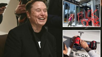 Tesla’s net income plunges 71% as Elon Musk confirms ‘major work’ setting up DOGE is done