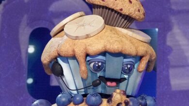 The Masked Singer Season 13 Episode 8 Recap: Stud Muffin Reveal