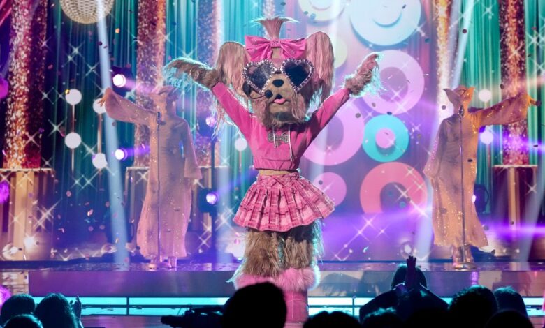The Masked Singer Season 13 Episode 9 Recap: Yorkie Reveal The Masked Singer Season 13 Episode 9 Recap: Yorkie Reveal
