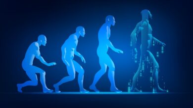 The Past and Future of AI (with Dwarkesh Patel)