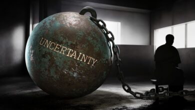 The Reason of Rules: Uncertainty is the Growth Killer