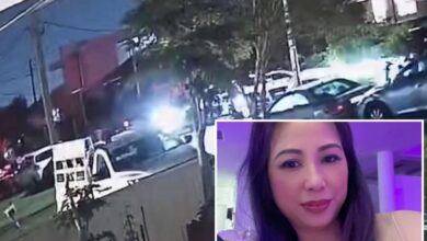 Theories emerge on why Sydney mom Thi Kim Tran was kidnapped, found dead