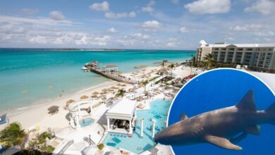 Travel warning issued for Bahamas over crime concerns, sharks