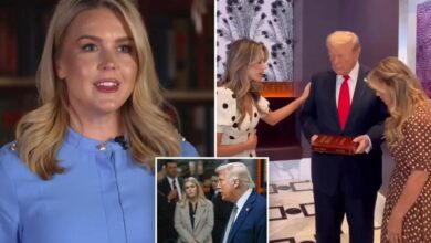 Trump battled ‘evil forces’ on campaign trail’: Karoline Leavitt