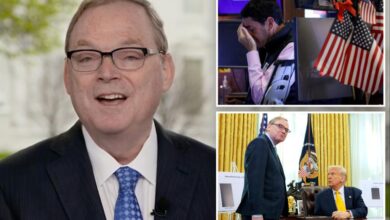 Trump economic adviser insists no chance of recession this year: ‘100% not’