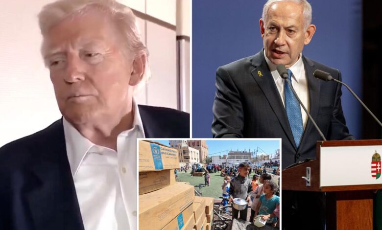 Trump tells Netanyahu ‘we’ve got to be good to Gaza’ and allow more aid