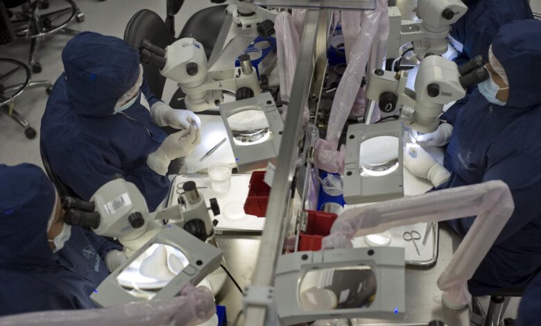 Trump’s Tariffs Will Make Medical Devices More Expensive