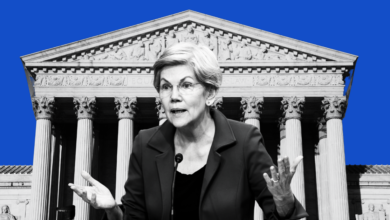 Elizabeth Warren Accuses Trump of Market Manipulation Over Tariff Chaos