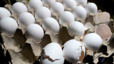 U.S. Egg Prices Soar To Record High, Despite Donald Trump’s Prediction
