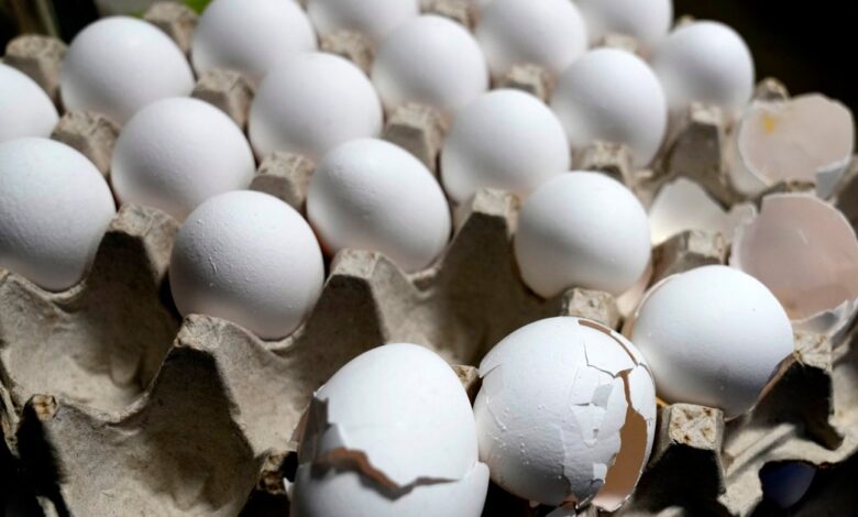 U.S. Egg Prices Soar To Record High, Despite Donald Trump’s Prediction