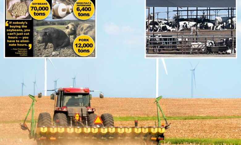 US agriculture industry in ‘full-blown crisis’ as Trump tariffs shrink Chinese orders