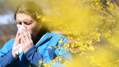 Why are some cities worse for allergies than others?
