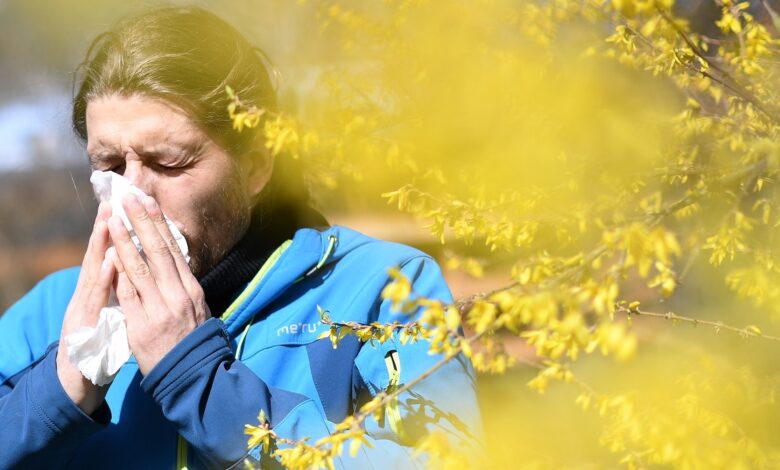 Why are some cities worse for allergies than others?
