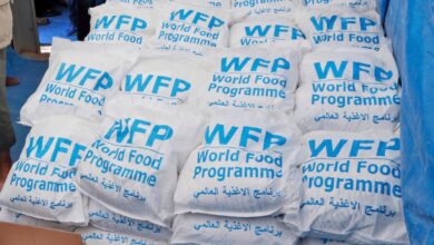 World Food Program, other UN aid agencies slash jobs amid US funding cuts: Officials