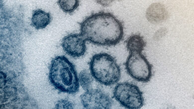 Wuhan lab leak theory replaces Covid facts on White House website